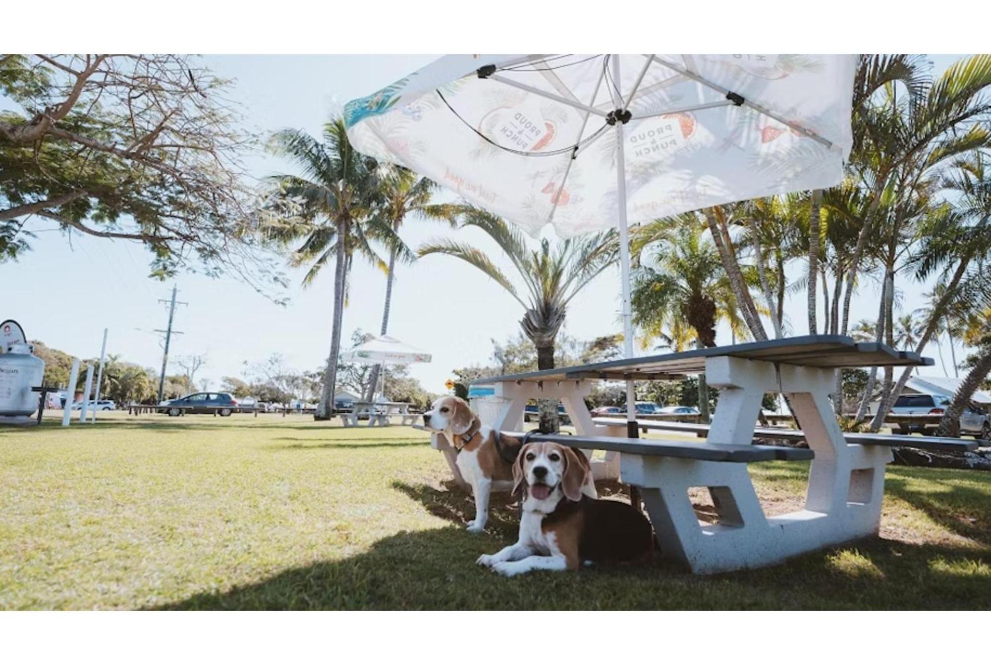 Discovery Parks - Bargara Esterno foto